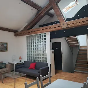 Loft Viarhona, Grand Loft En Centre-ville Accommodatie bij particulieren