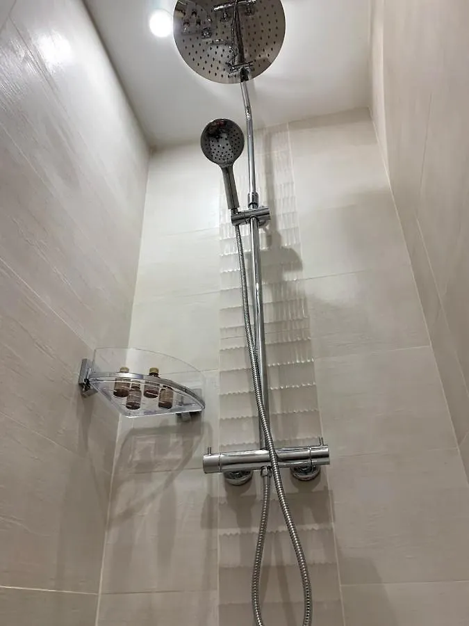 Luxe Et Calme En Hyper Centre - La Cour Des Bois Apartment Lyon France