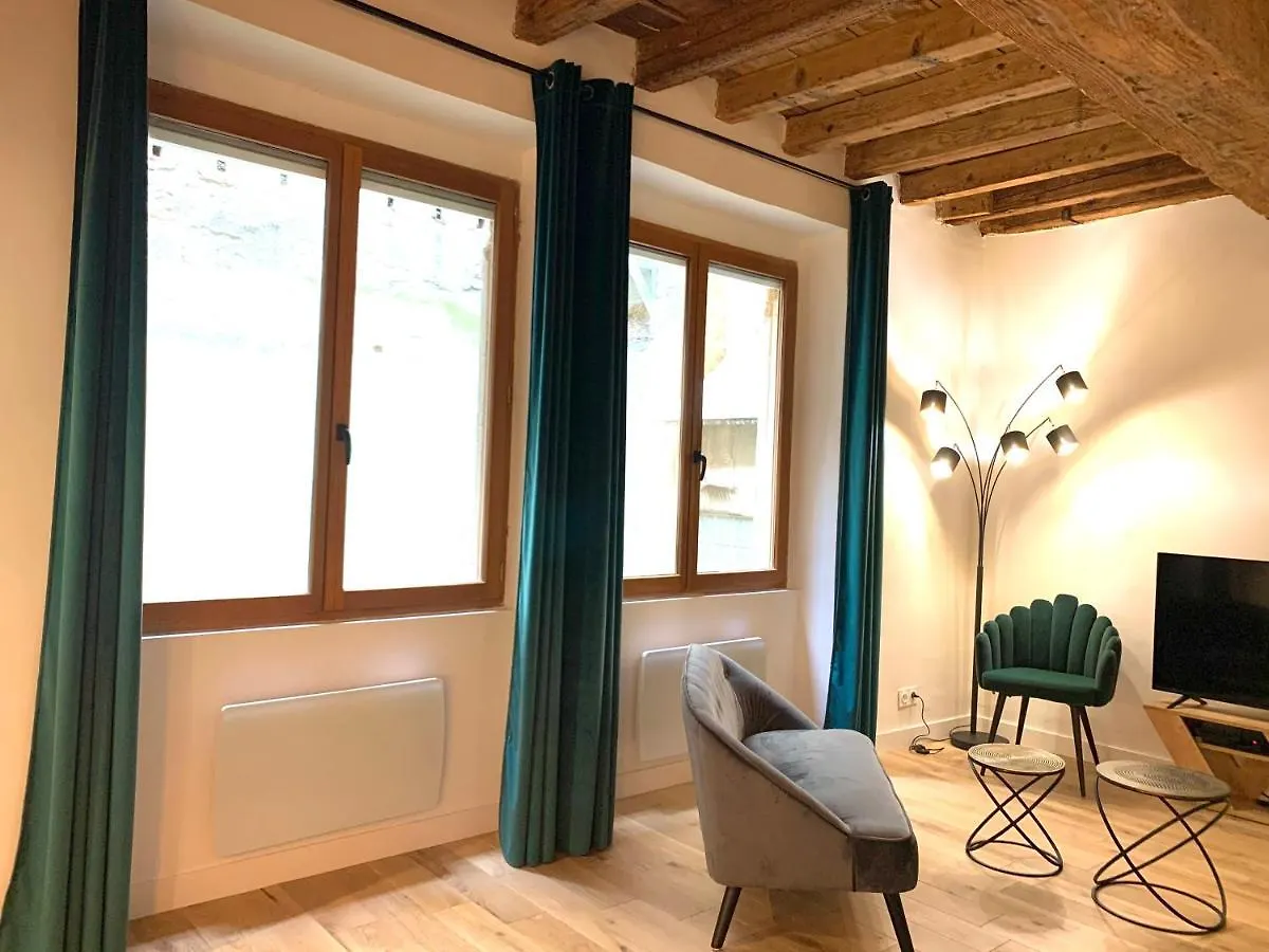 Luxe Et Calme En Hyper Centre - La Cour Des Bois Apartment Lyon France