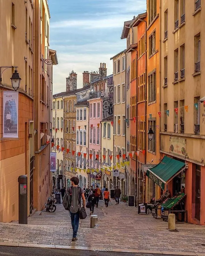 Luxe Et Calme En Hyper Centre - La Cour Des Bois Apartment Lyon 0*,